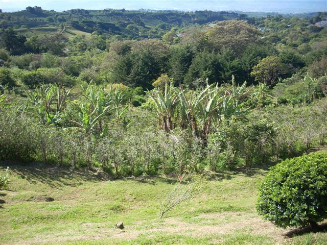 Costa Rica Lots