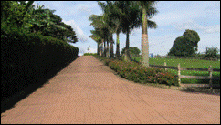 Costa Rica Land Sale