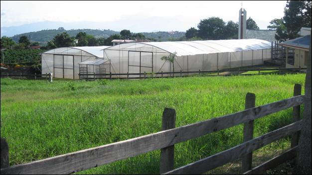 Costa Rica Farm Investment